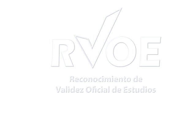 Fundación de IEXE