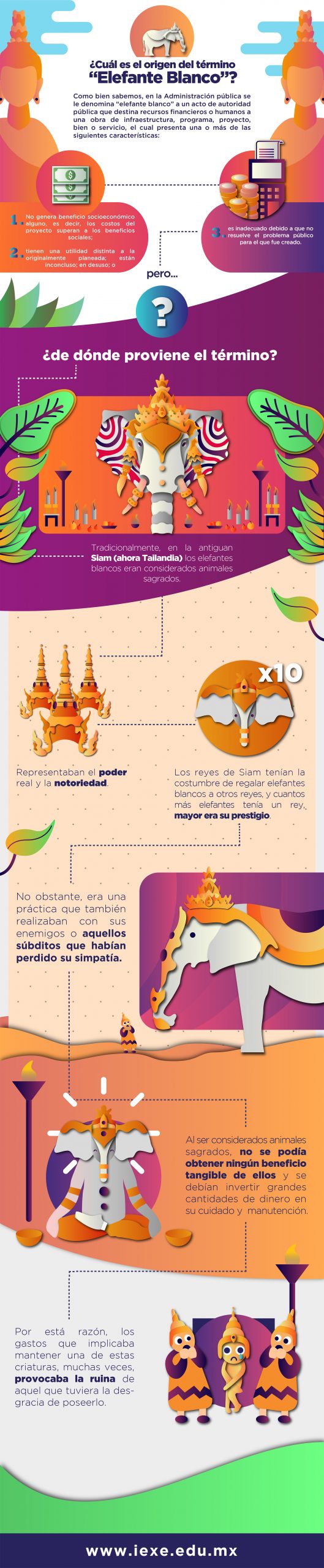 INFOGRAFIA ELEFANTE BLANCO