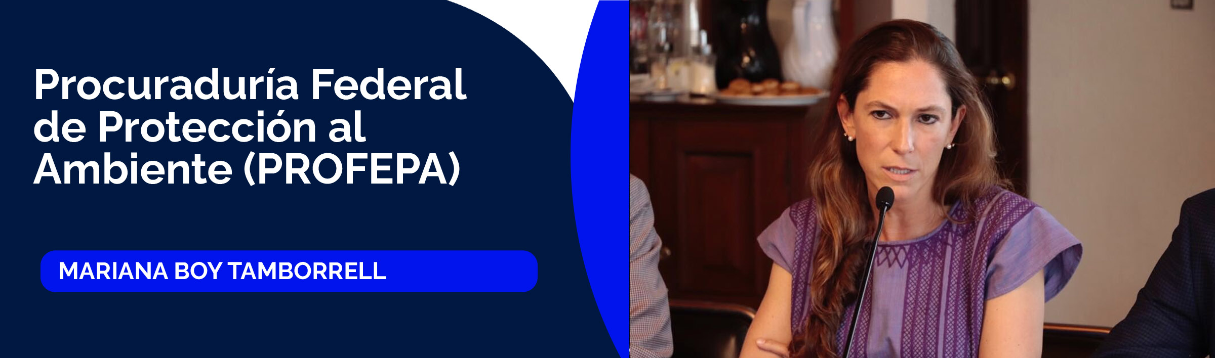 Mariana Boy Tamborrell, titular de la Procuraduría Federal de Protección al Ambiente (PROFEPA)