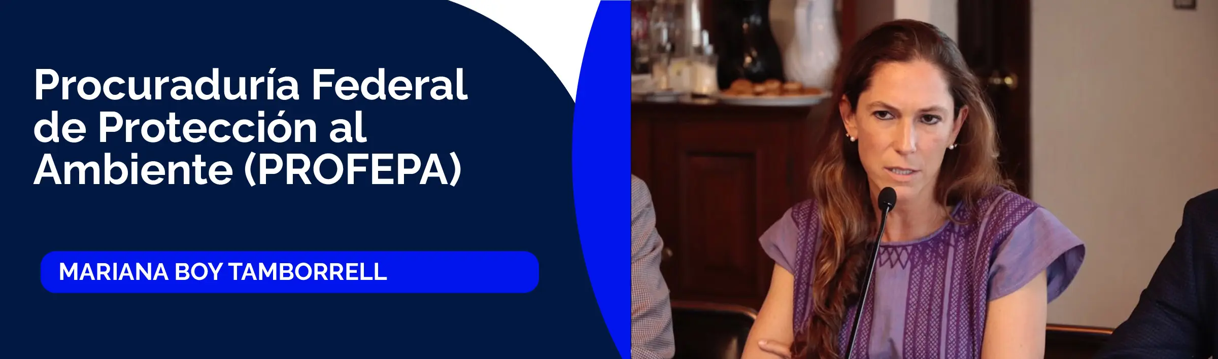 Mariana Boy Tamborrell, titular de la Procuraduría Federal de Protección al Ambiente (PROFEPA)