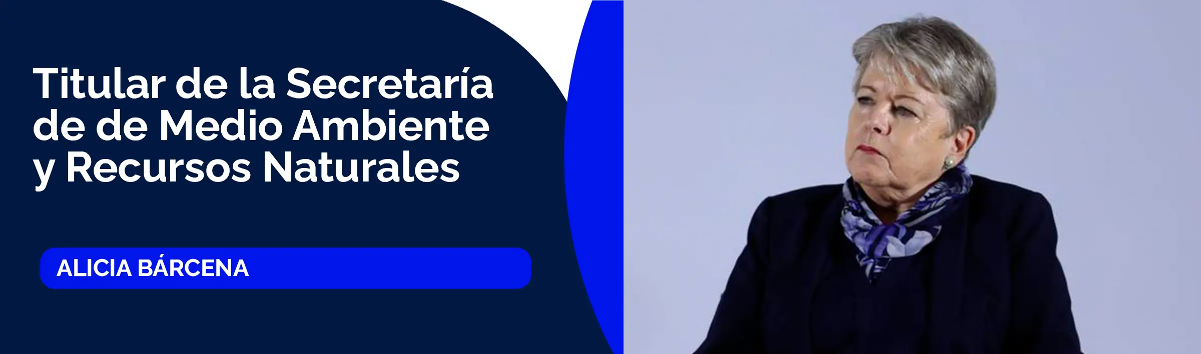 Alicia Bárcena Ibarra, secretaria de Medio Ambiente y Recursos Naturales (SEMARNAT)