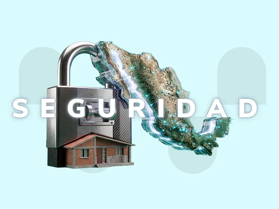 Seguridad pública vs. seguridad nacional: diferencias y ejemplos